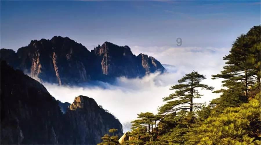 想吃发面饼教你在家做，松软可口，比面包还好吃