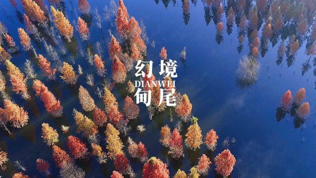 月光影视
