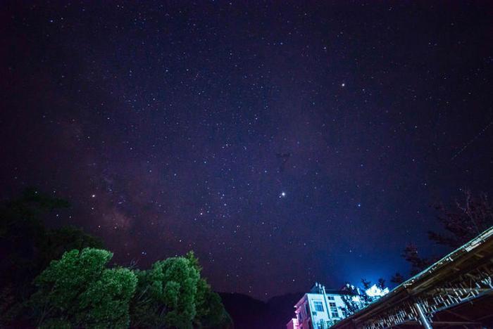 救援紫色生物
