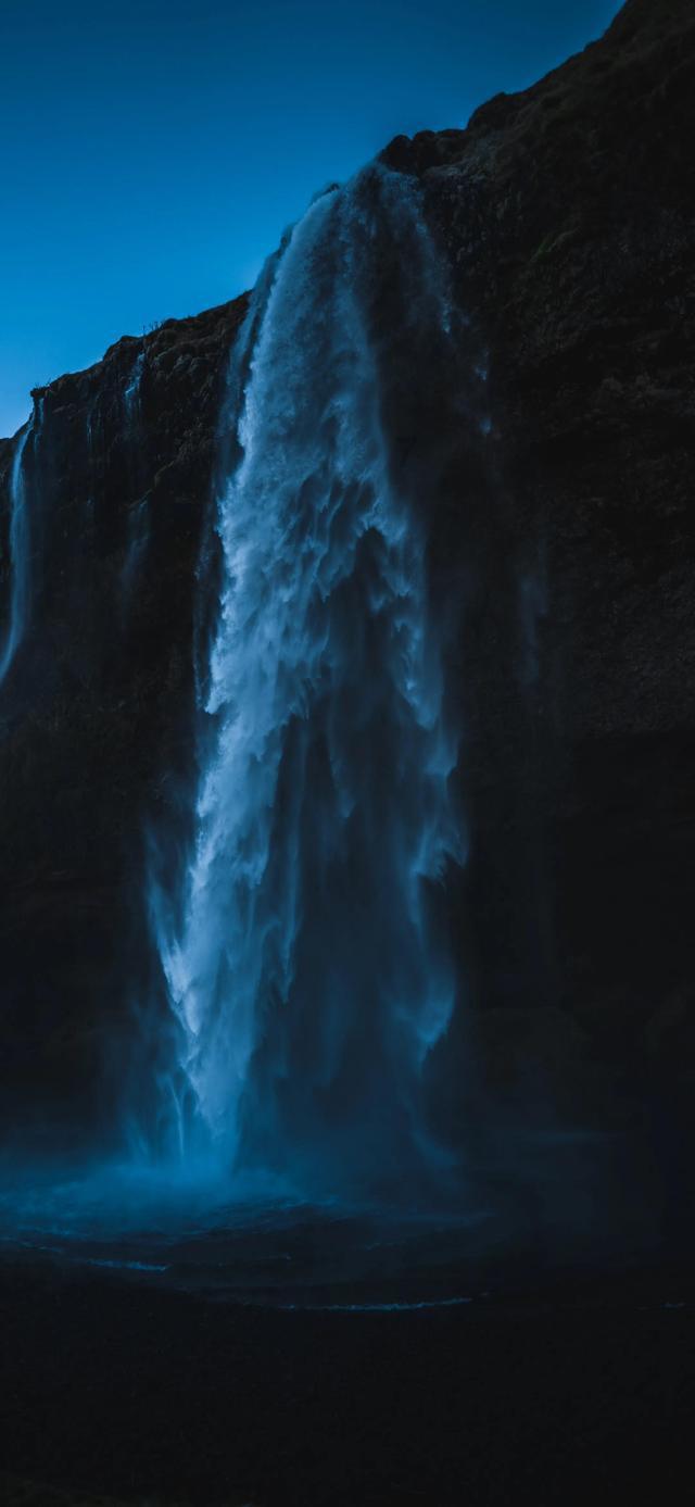 逃离椰子岛