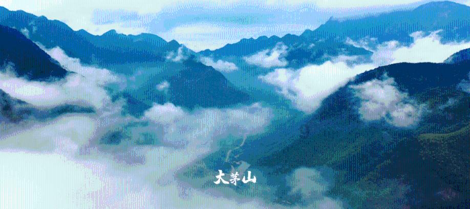 会理复烤厂完成年度生产目标