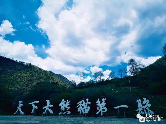 小猫钓鱼开船版最新版下载