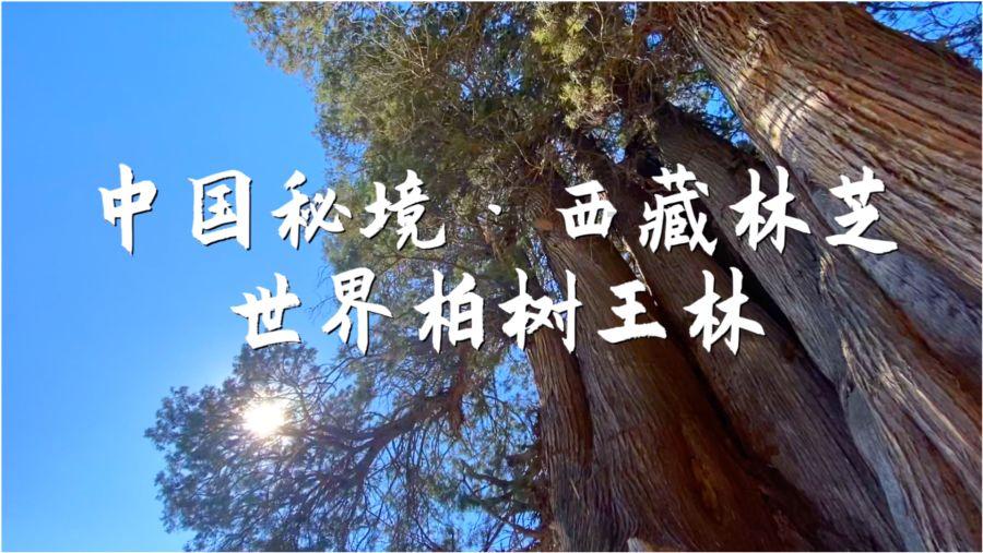 applevisionpro购买费用