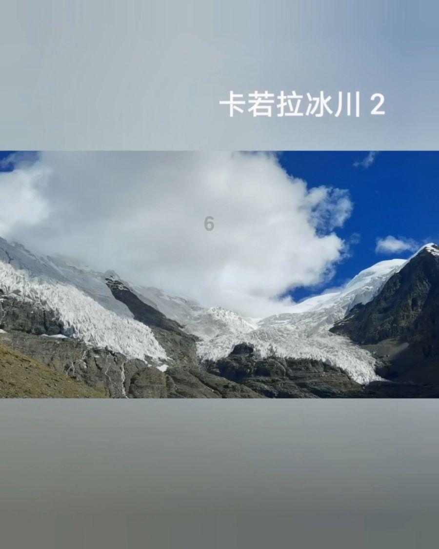 饥饿的松鼠救援