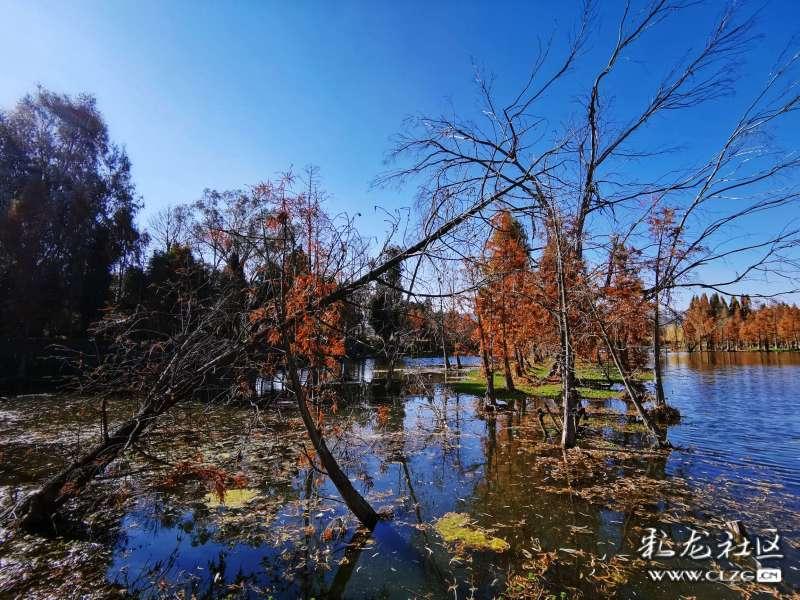 你还记得小时候种下的梦想吗?你实现了吗?-专注分享知识的星球