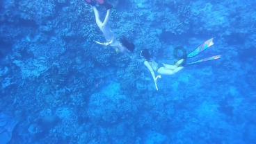虫虫助手下载