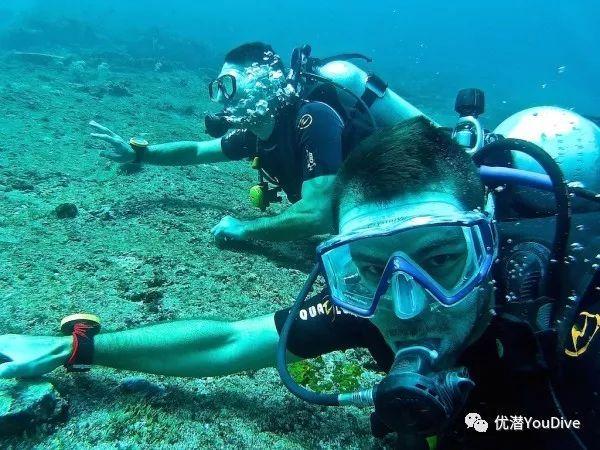 海盗的荣誉