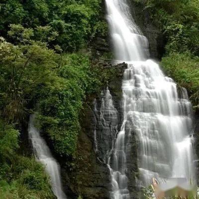 逃离神秘树屋