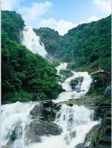 香瓜怎么种植游戏画面