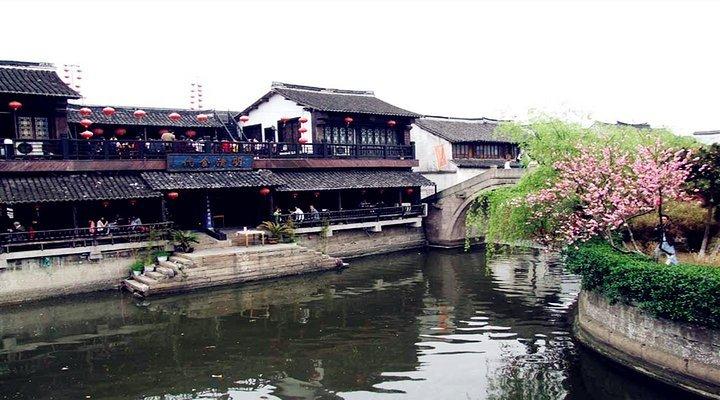 僵尸粉碎机