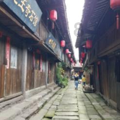 虫虫助手下载