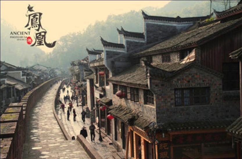 森林小火车建成运营